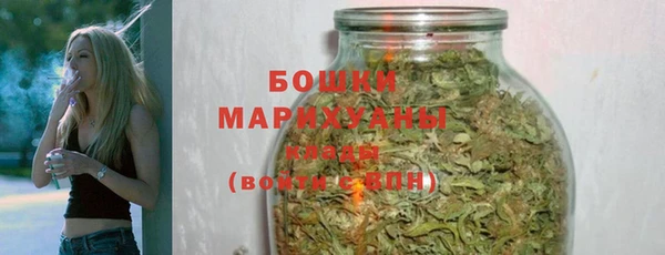 прущий лед Богданович