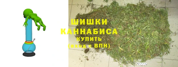 ПСИЛОЦИБИНОВЫЕ ГРИБЫ Богородицк