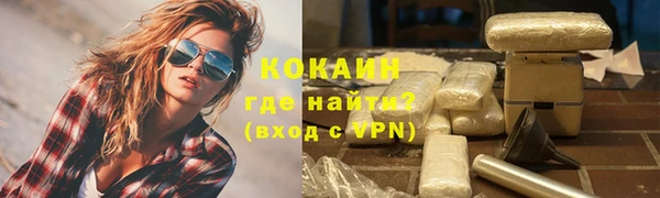 прущий лед Богданович