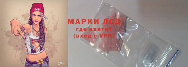 прущий лед Богданович