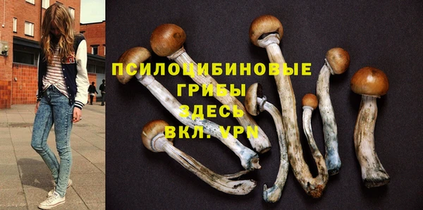 ПСИЛОЦИБИНОВЫЕ ГРИБЫ Богородицк