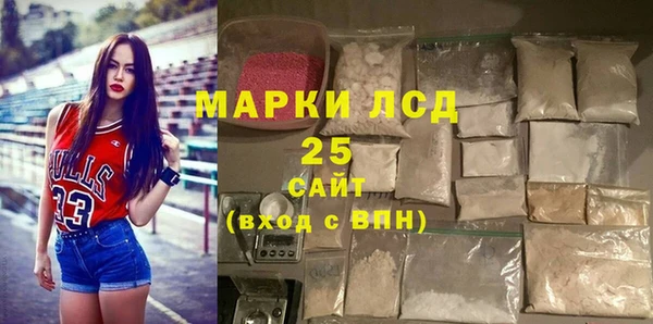 прущий лед Богданович