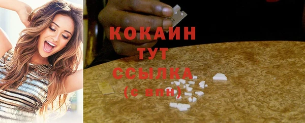 прущий лед Богданович